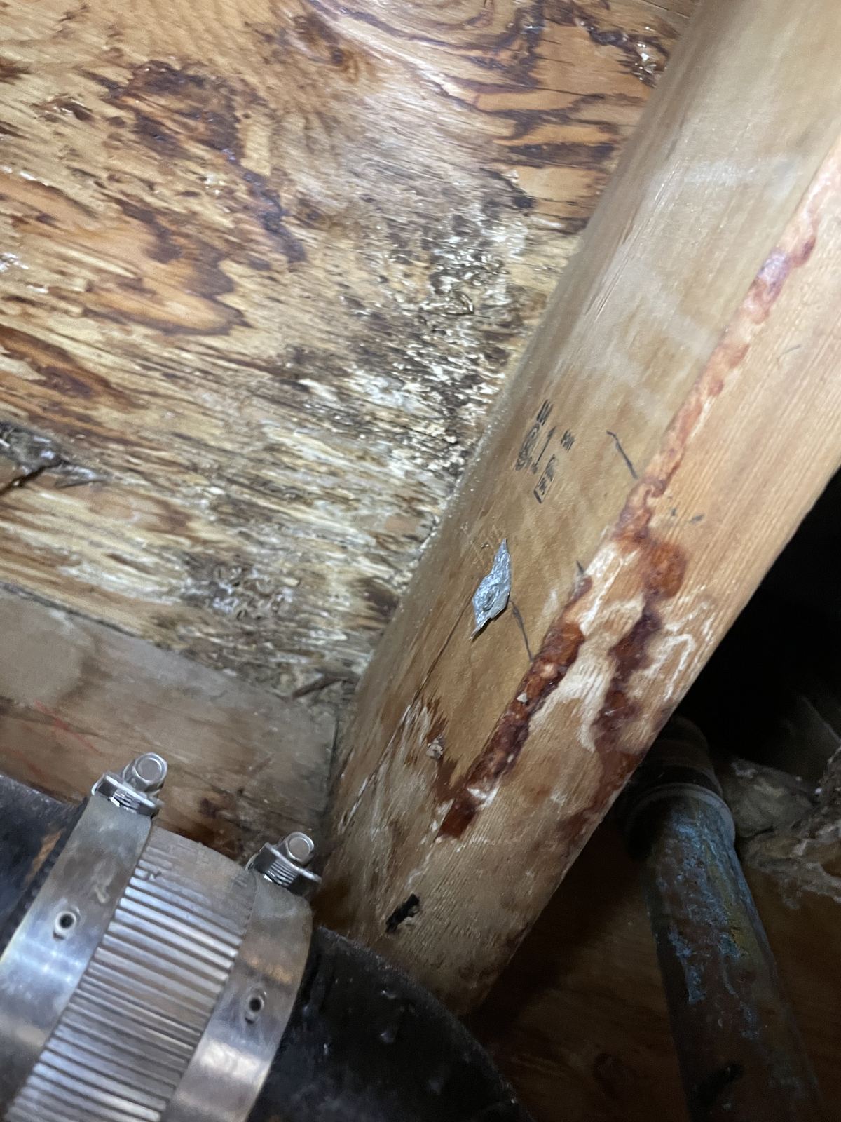 Water-damaged framing and plumbing documented in a crawlspace