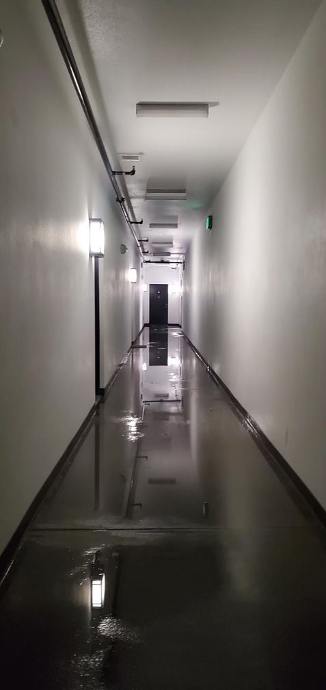 Mold Remediation work performed by Village Restoration