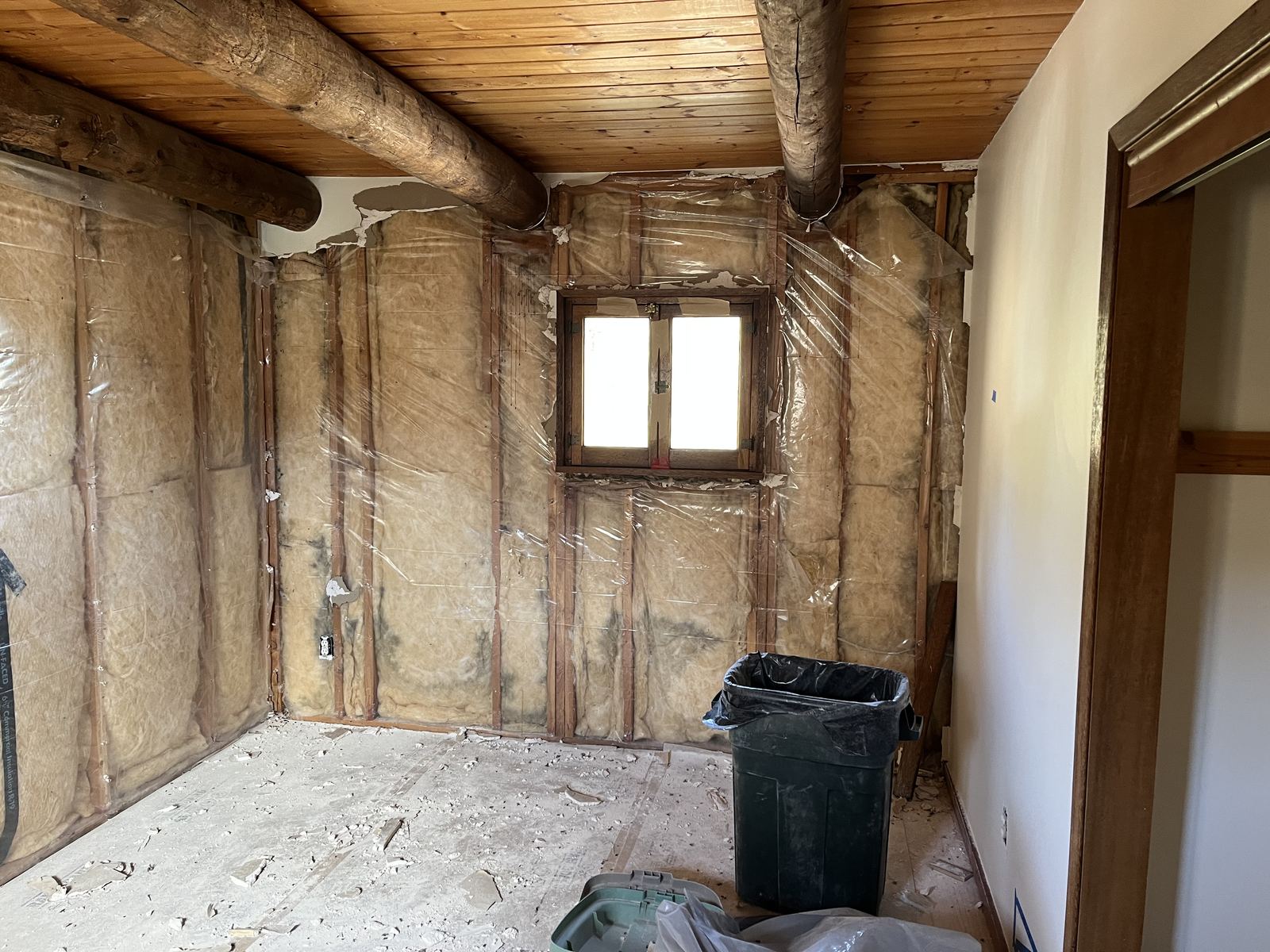 Mold growth documented at baseboard and carpet during inspection